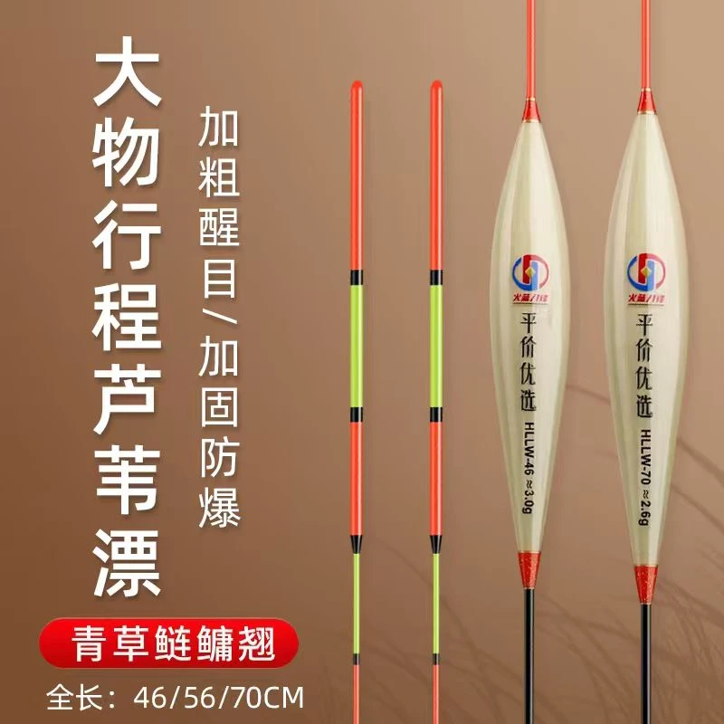 火蓝刀锋黑坑湖库芦苇珠珠正钓行程钓鱼漂青鱼草鱼翘嘴高灵敏浮漂