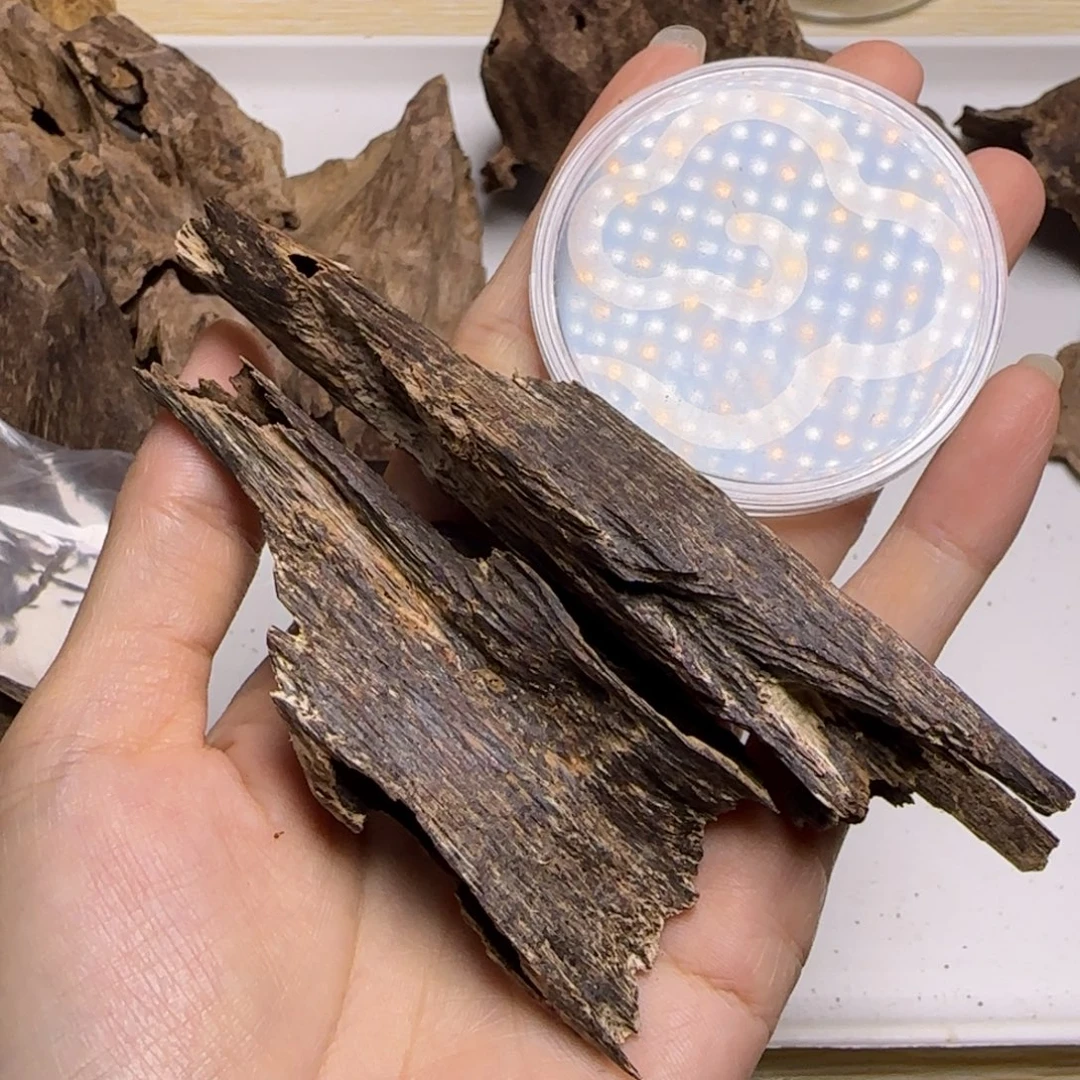 阿***茶海南黑油虫漏碎料10克