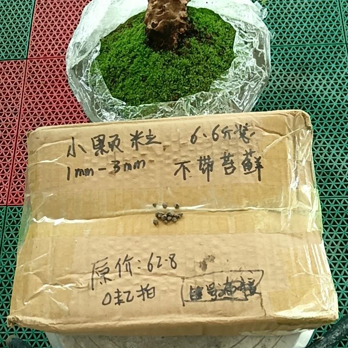 他***石兰菌颗粒   小颗粒6.6斤