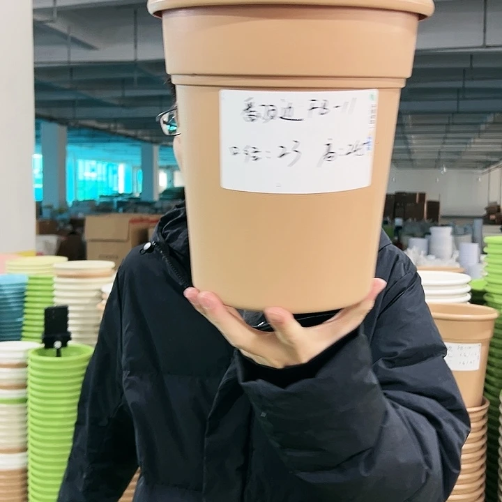 正品翻边口23高25卡其无托5只