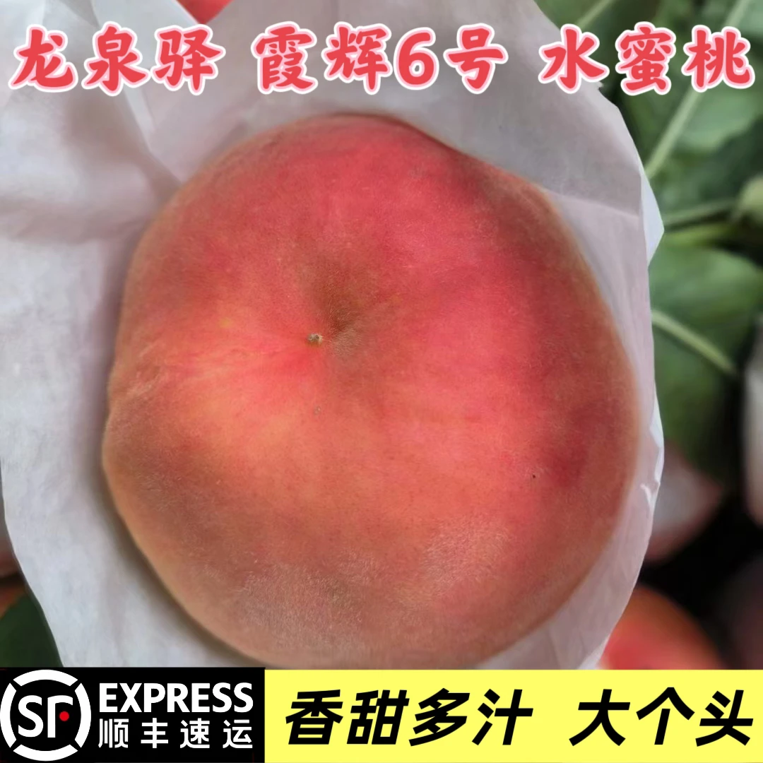 《顺丰包邮》龙泉驿水蜜桃 新鲜现摘香甜多汁 应季水果