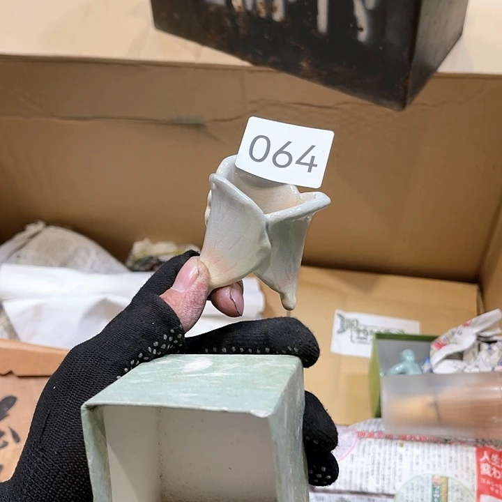 茶宠我们都在努力着改变