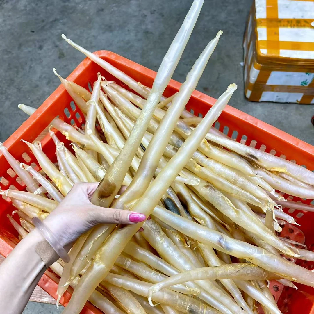 汕尾本港自晒鳗鱼胶（约24-25头左右）