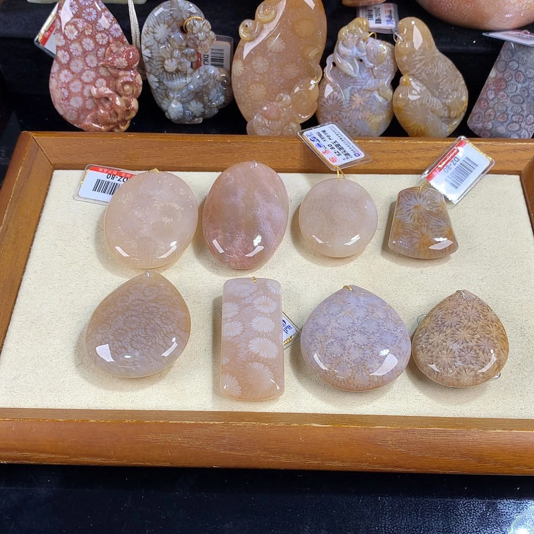 吊坠(赠链)未镶嵌硅化珊瑚（珊瑚玉）55号