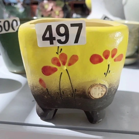 多肉植物花盆花盆