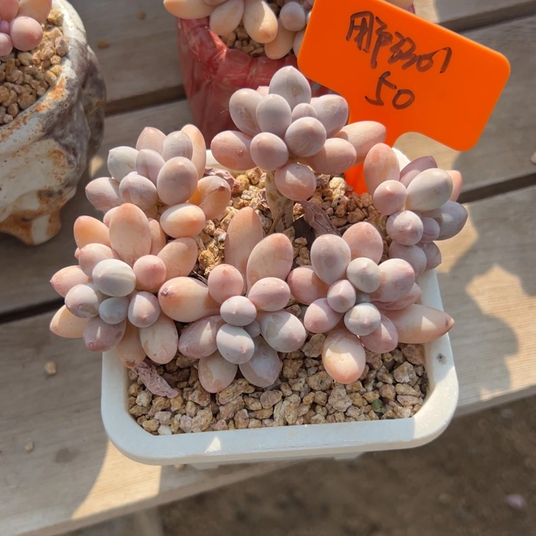 用***1香水手指11111111111111