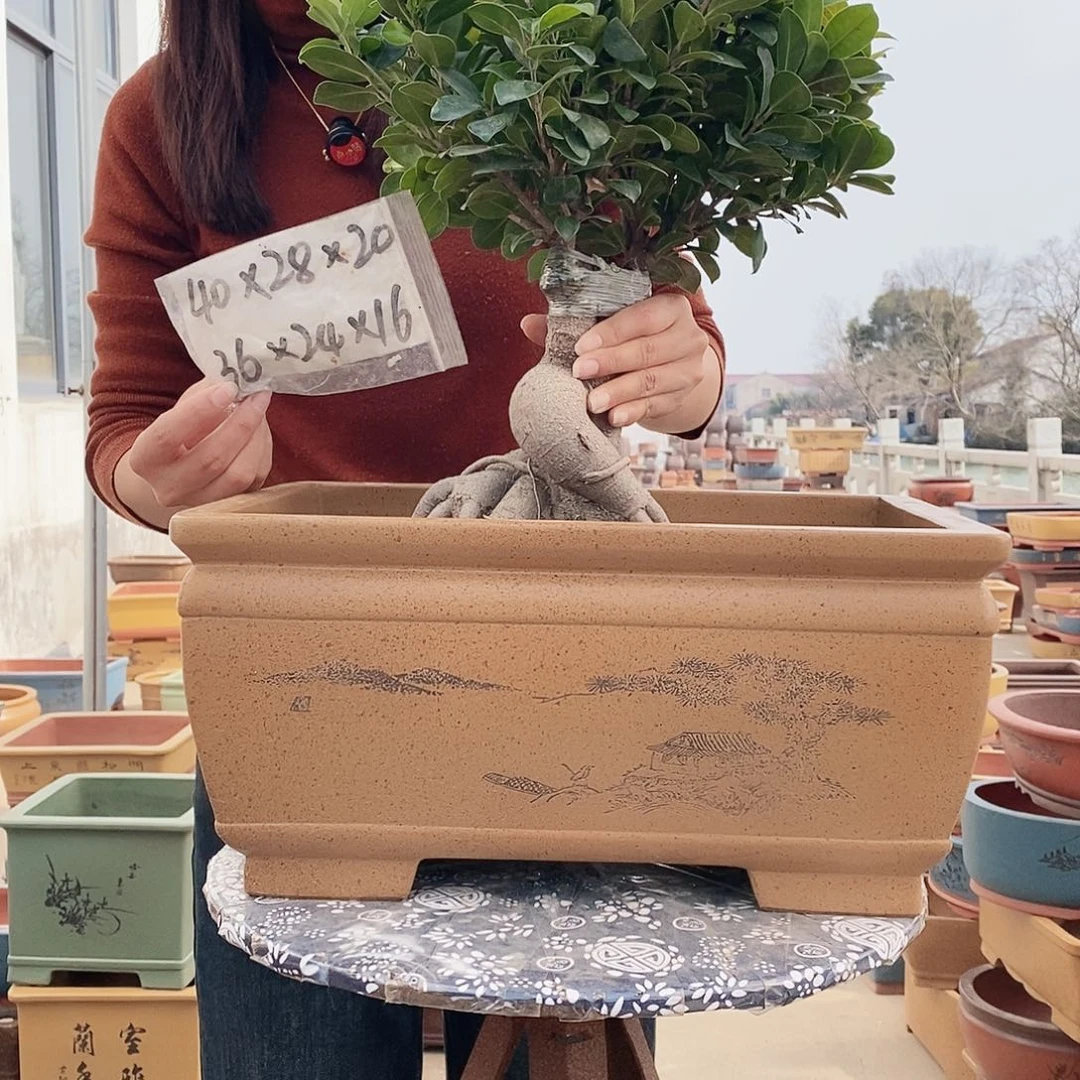 紫砂花盆紫砂花盆