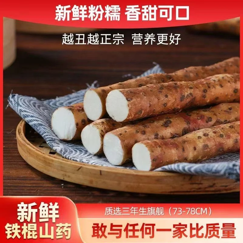 温县垆土铁棍山药新鲜现挖营养丰富的农产品特产