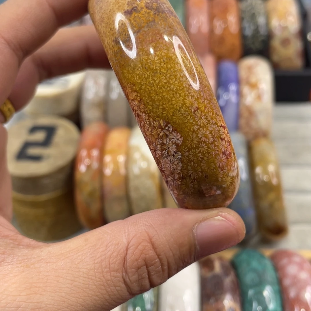 未镶嵌手镯硅化玉