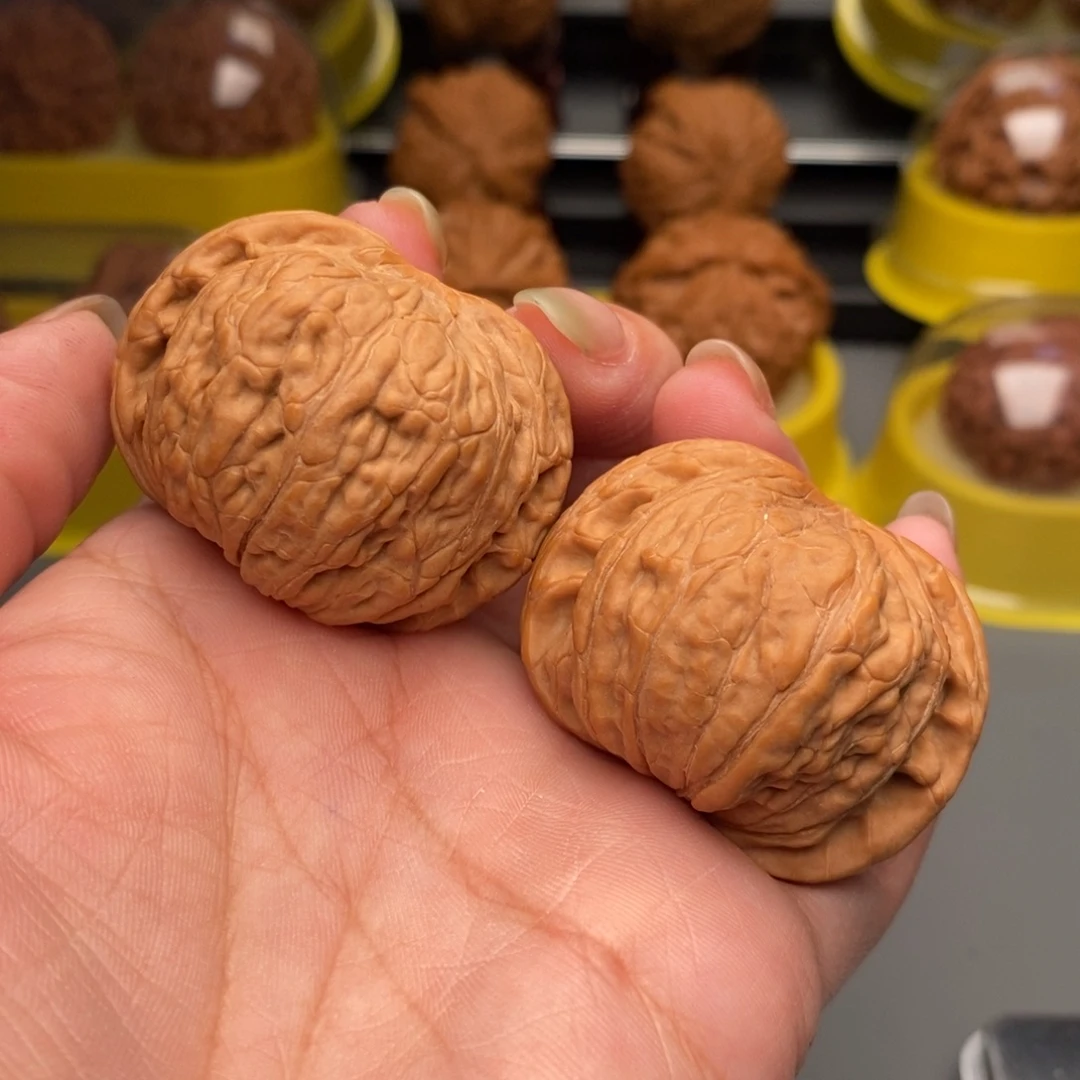 木质类文玩核桃金蝉子