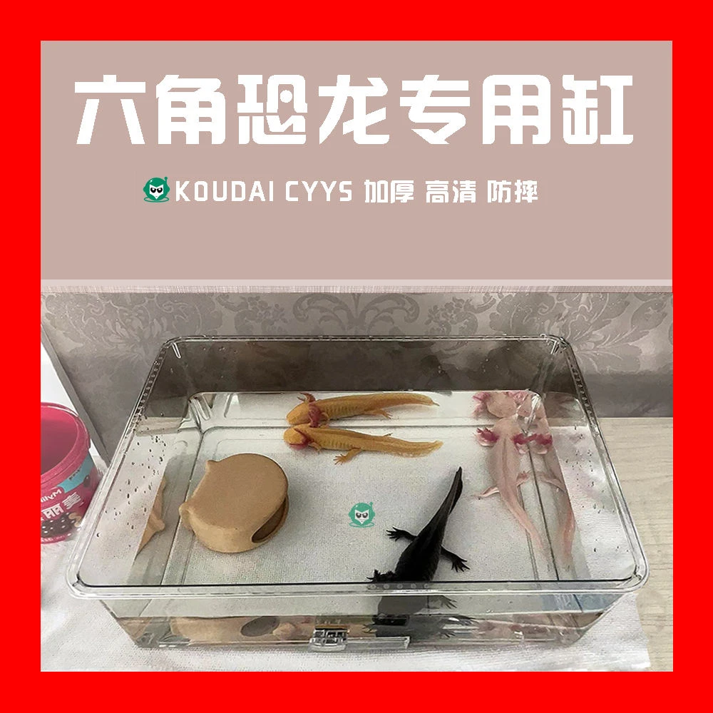 六角恐龙蝾螈专用透明方形玻璃桌面小型鱼缸