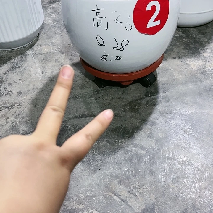 陶瓷花盆包邮包破损