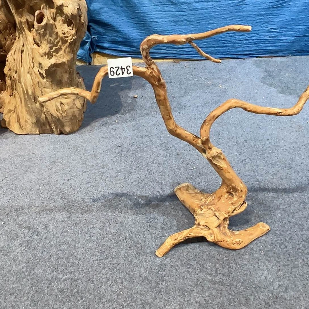 木三*3429w w w w w w w w e