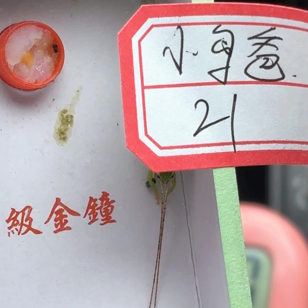 哈哈哈哈哈哈哈哈哈哈哈