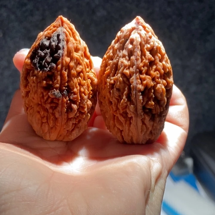 文玩核桃把件东北30