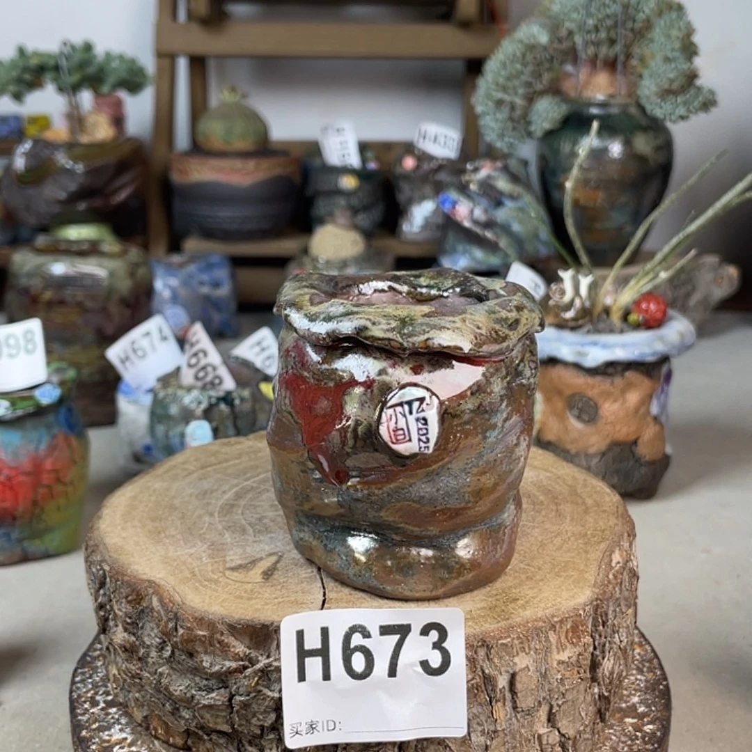 小白孤品 内口4 不含肉