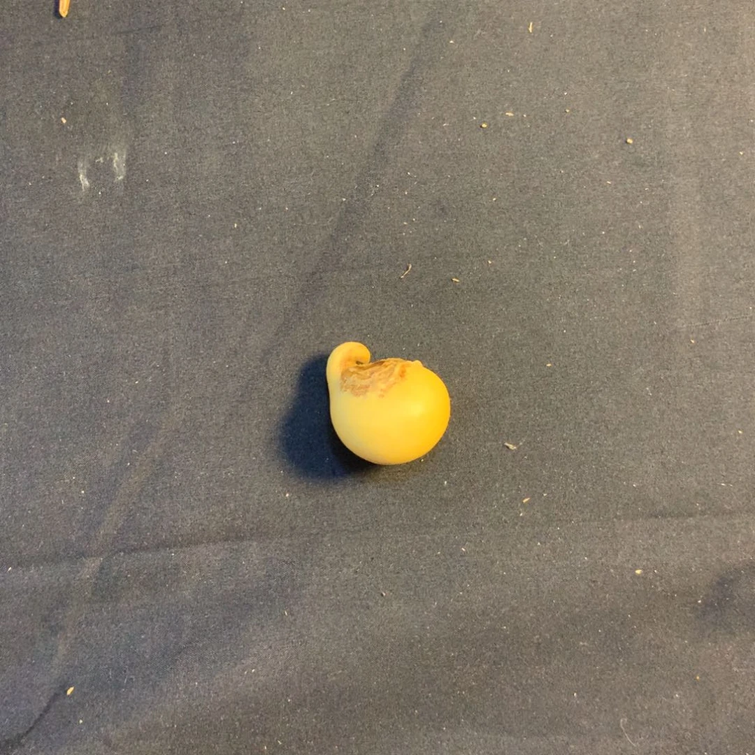 好***呢银S925葫芦头葫芦葫芦葫芦葫芦