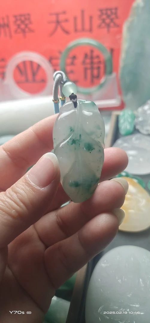 纯天然非洲翠叶子