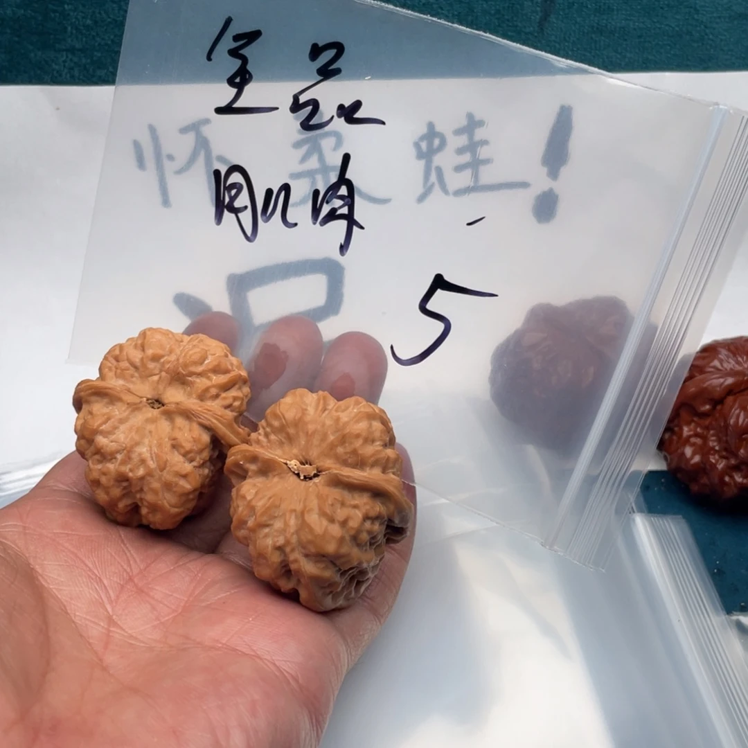 核桃6573753757357537375