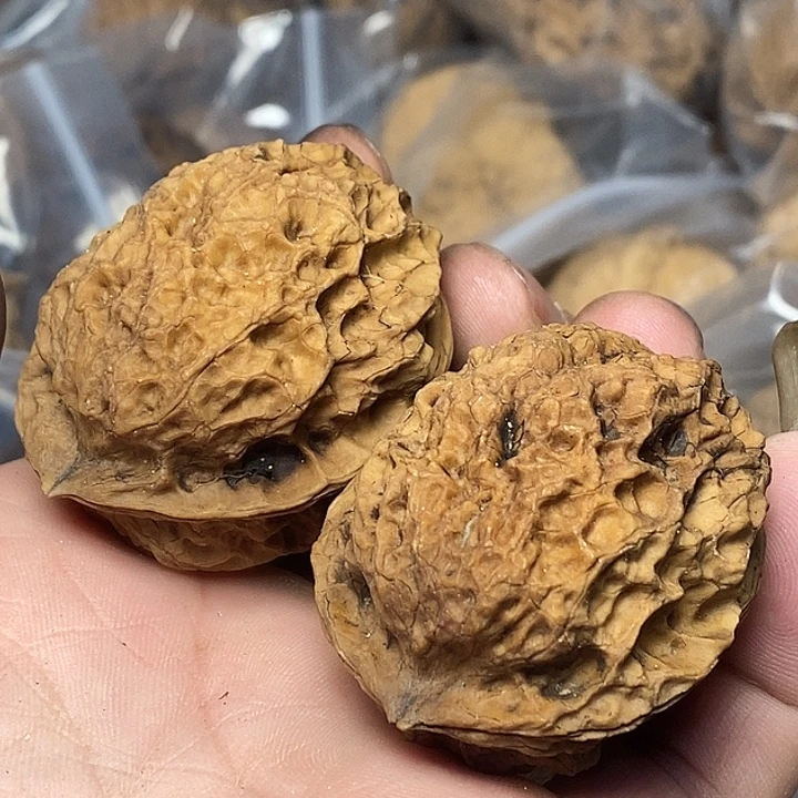 把件文玩核桃云南铁核桃B100