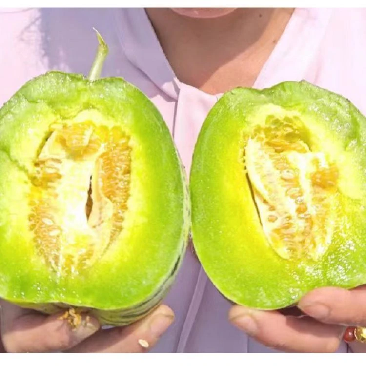 东北八里香香瓜  东北特产