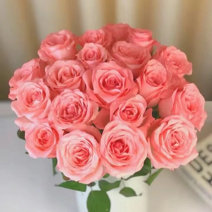 A1【戴安娜+香水百合+苏菲宝贝+蓝星花+粉色康乃馨】