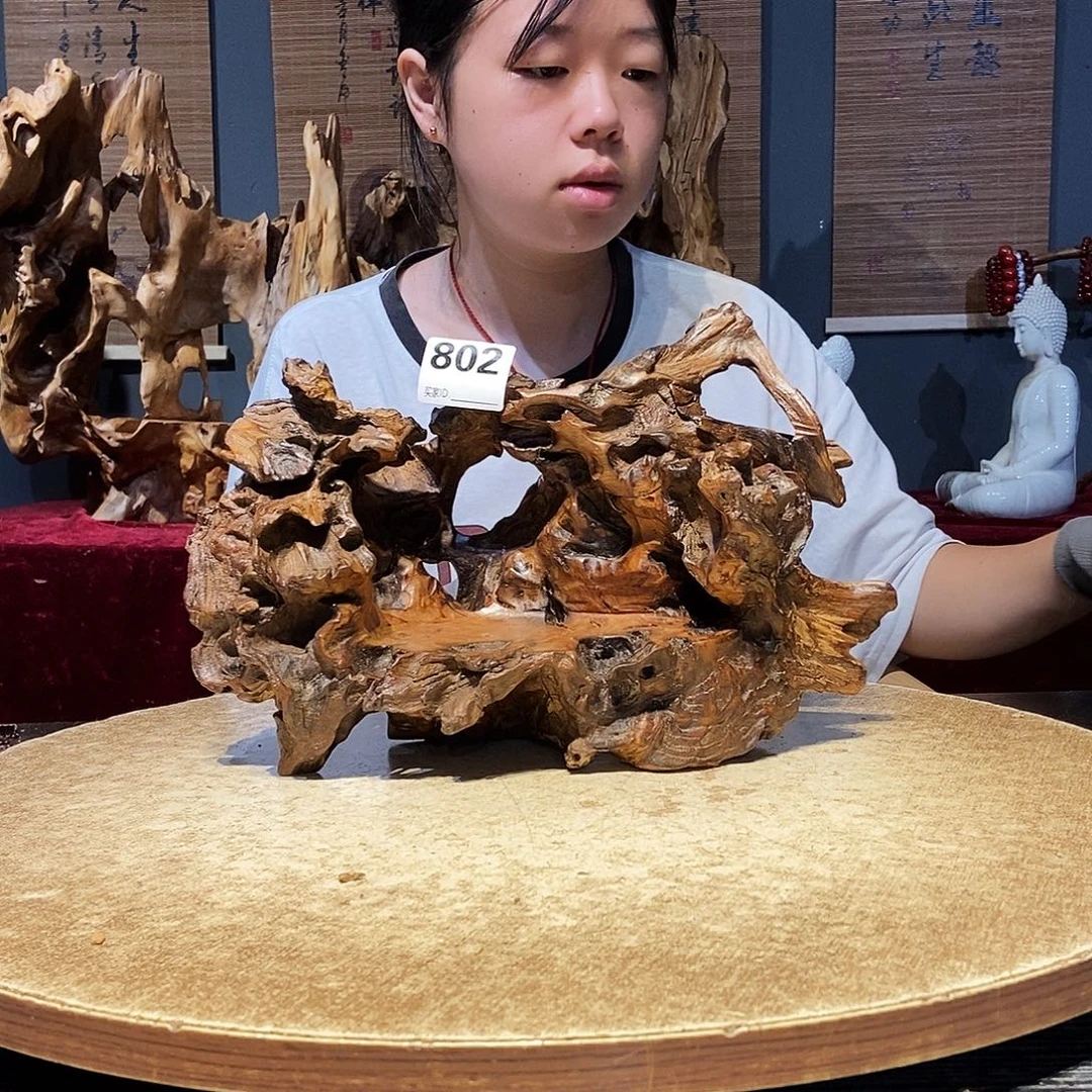 金***水802株木随行的小根艺