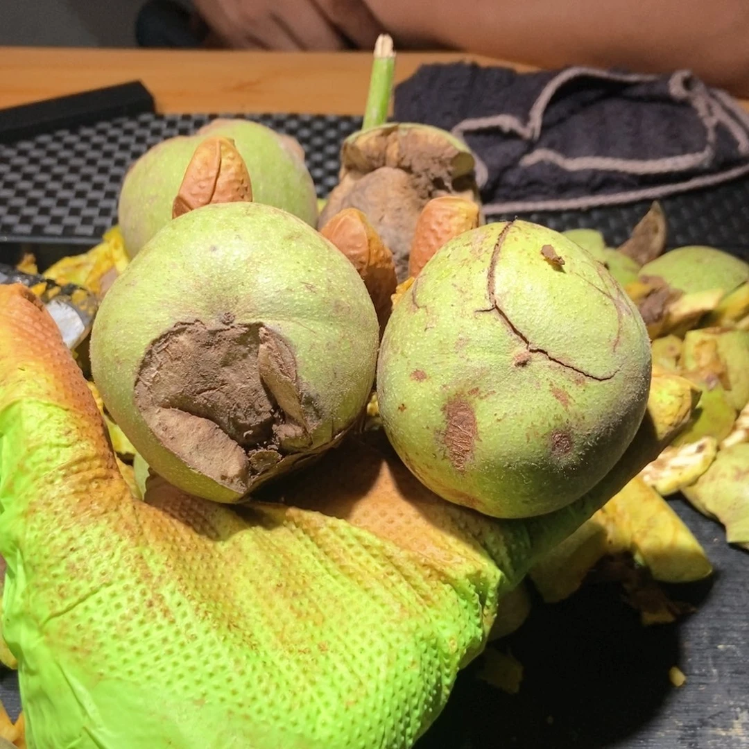 南瓜墩啥也不保不退不换