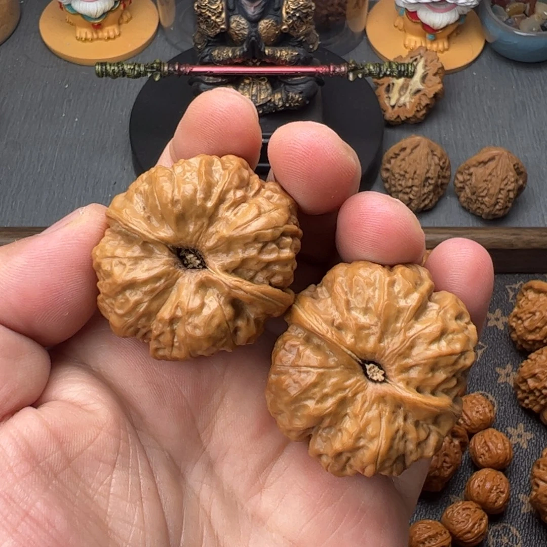 无***人40肉蛤蟆头卡卡西