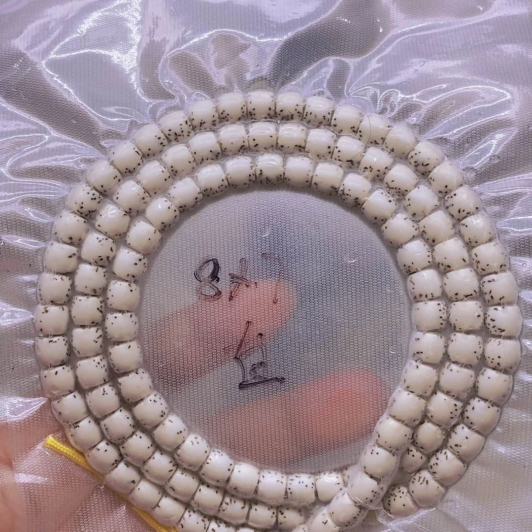 【闪购商品】手串星月菩提z****i原白