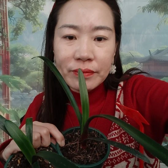 君****完全开放福利价格福利价格福利价格