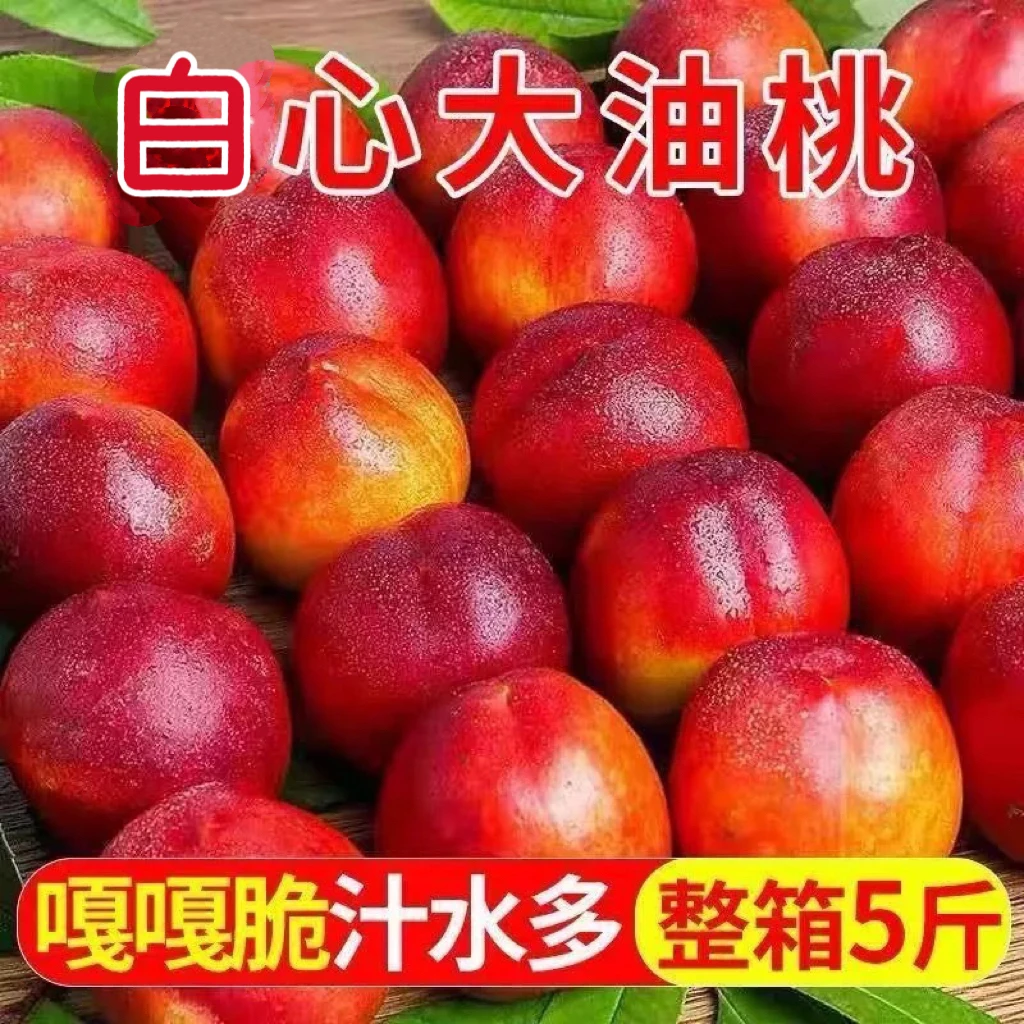 高山露天苹果脆桃脆甜可口应季水果现摘现发新鲜白心油