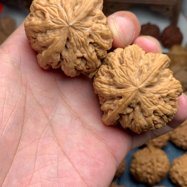 叛***娃手串/手链核桃45全品大粗筋