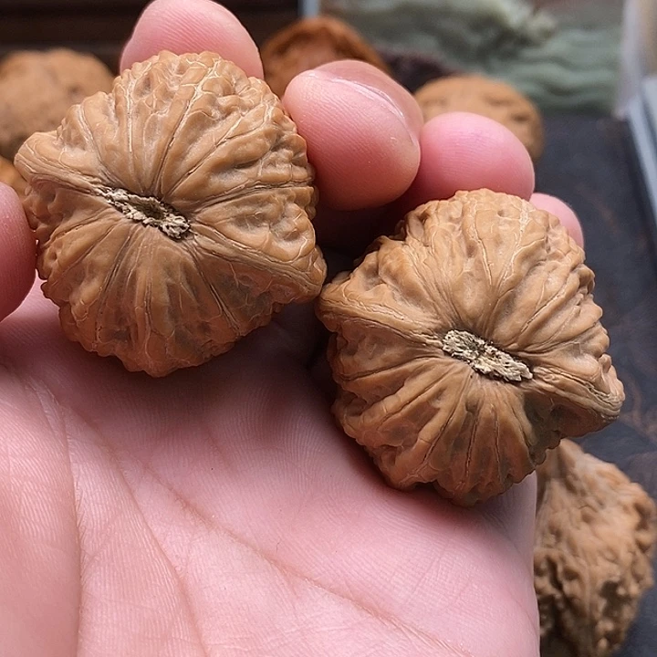 *****把件文玩核桃铁锤全品