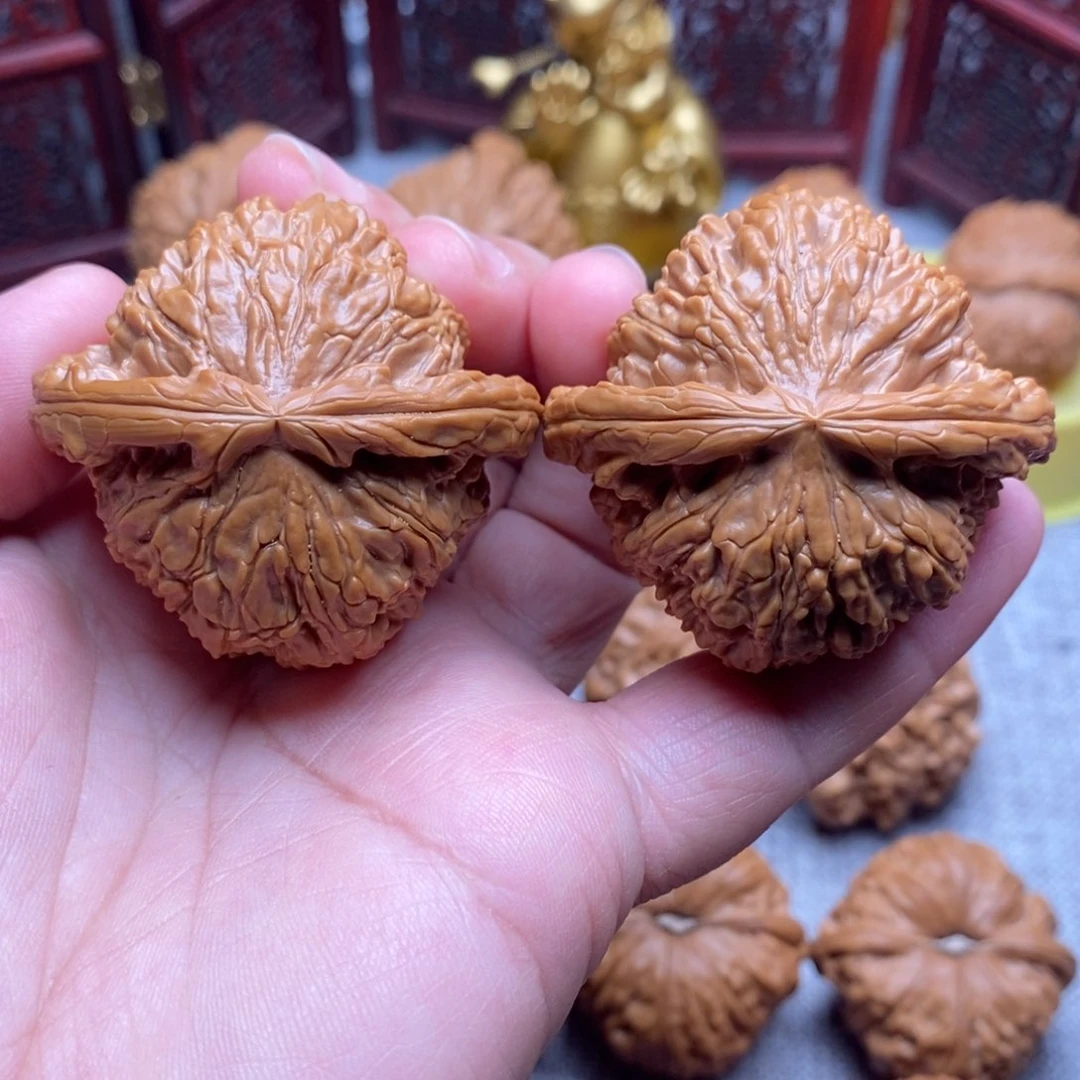 文玩核桃把件47精品红皮毕业白狮子