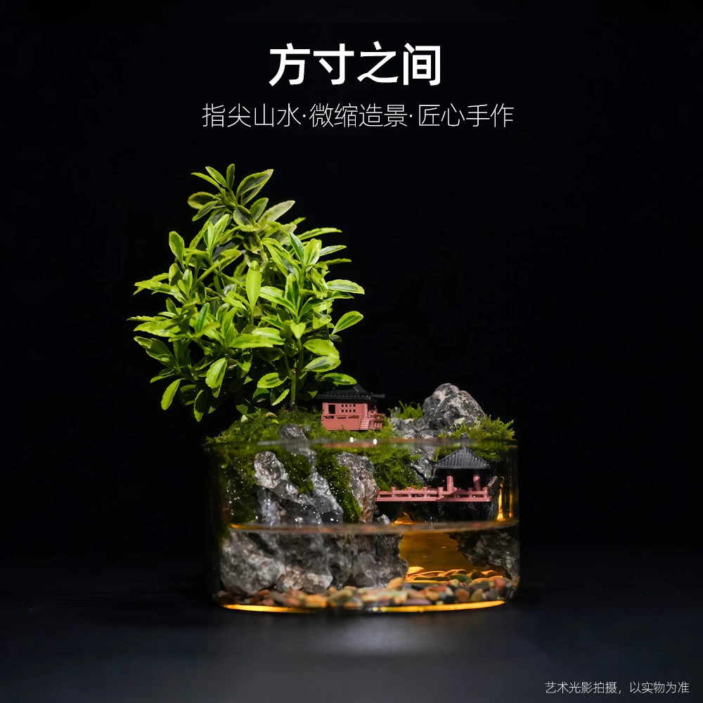 【国风】方寸之间—金边黄杨绿植造景成品真植物【尺寸：11*4.6】