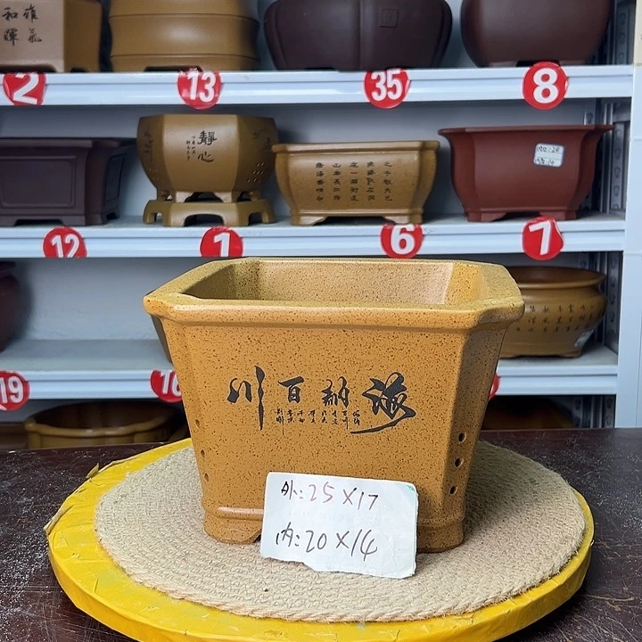 紫砂花盆你在一起