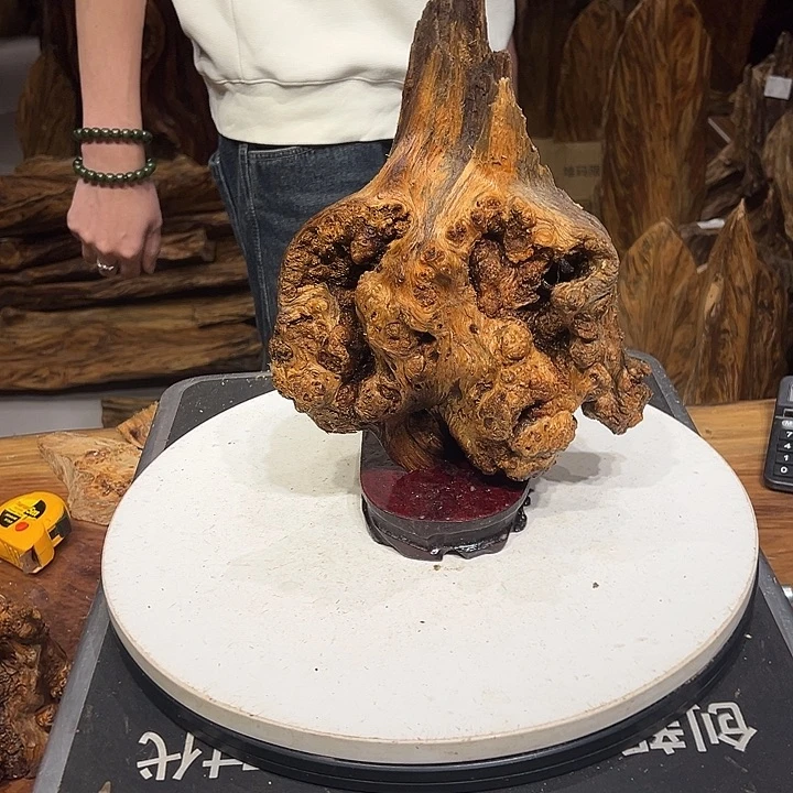 松木（琥珀木）黄琥珀