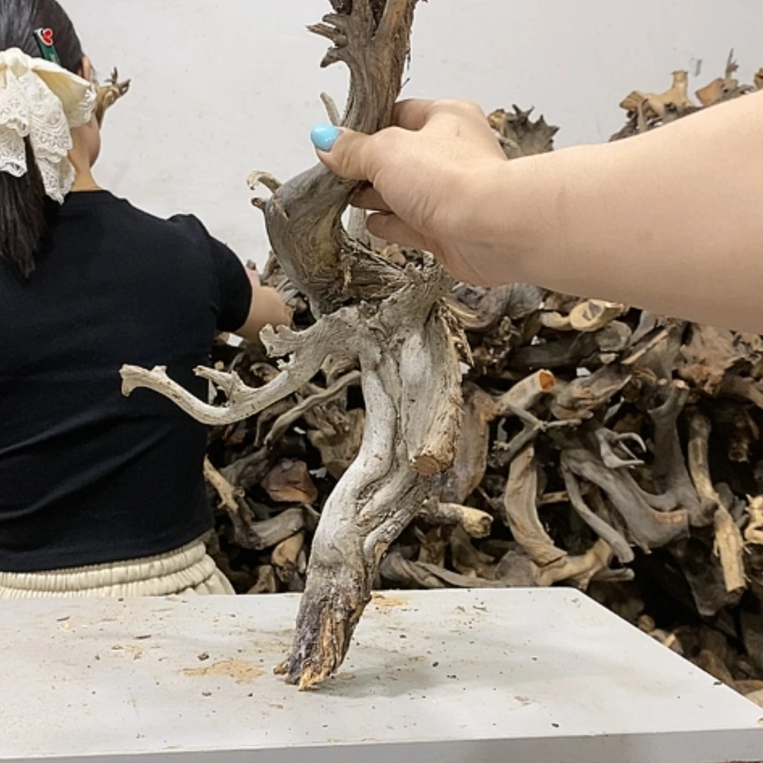 【闪购商品】柏木闻**香我们都是好孩子