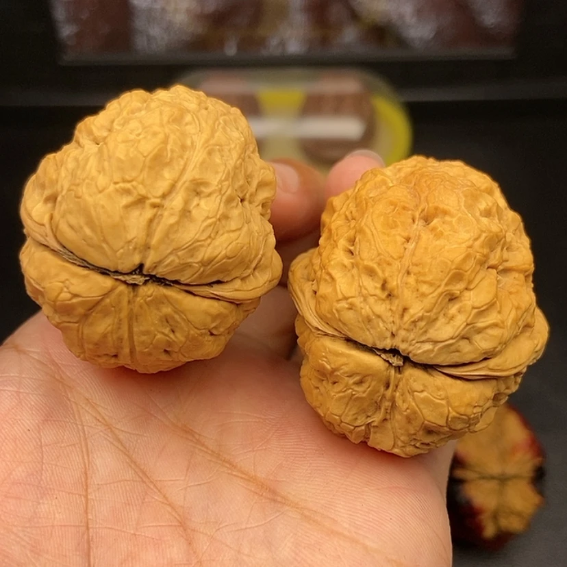 【闪购商品】文玩核桃把件42尺金蟾王