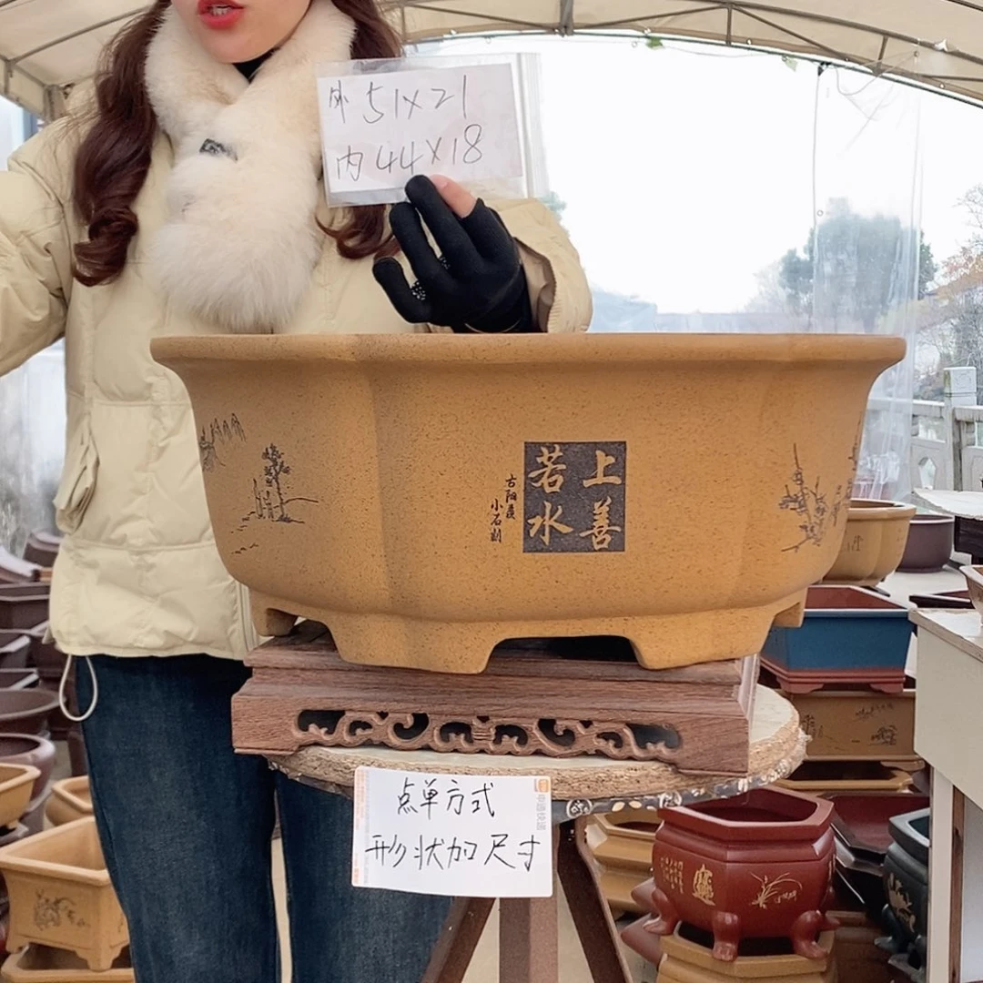 紫砂花盆紫砂花盆