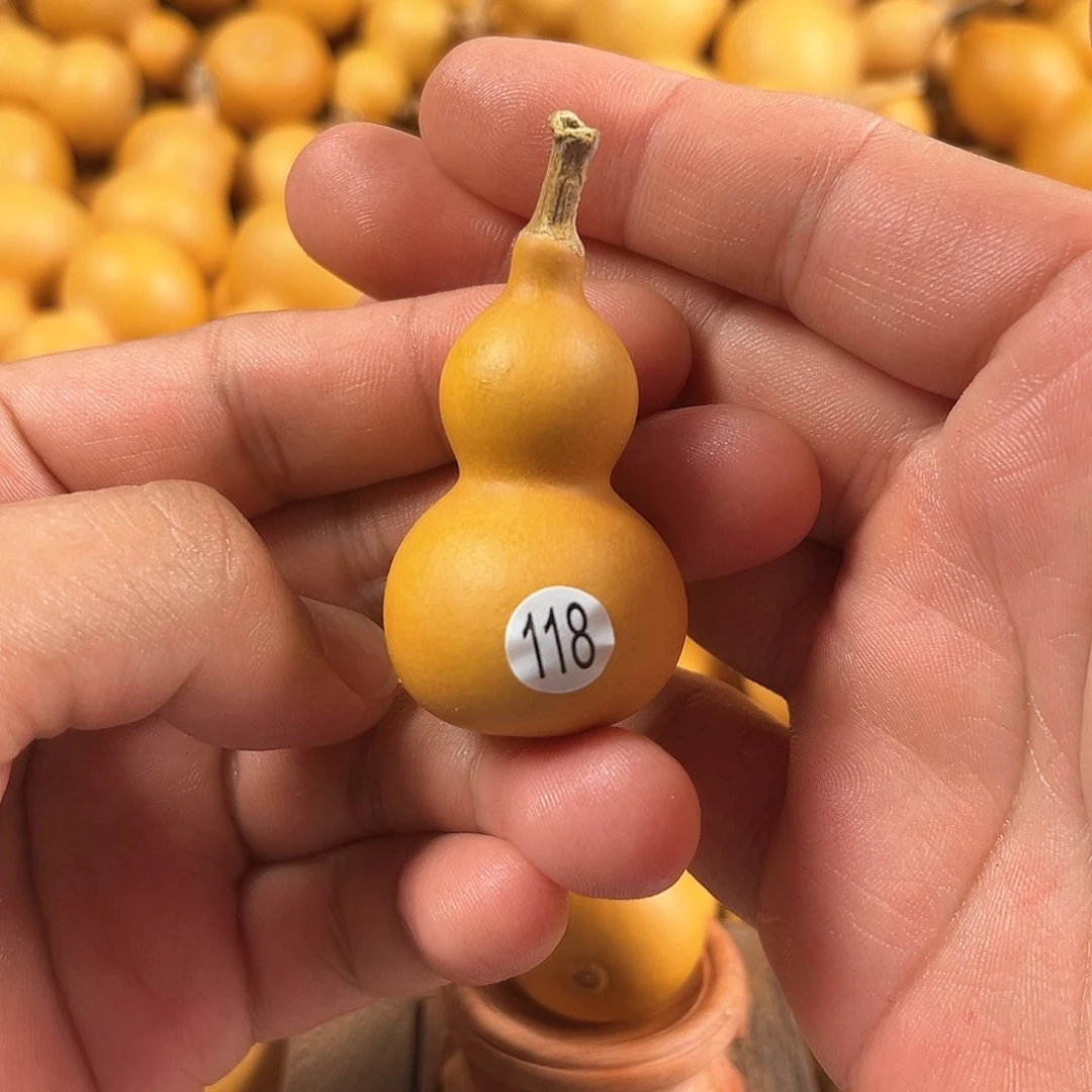 一葫芦葫芦葫芦葫芦118