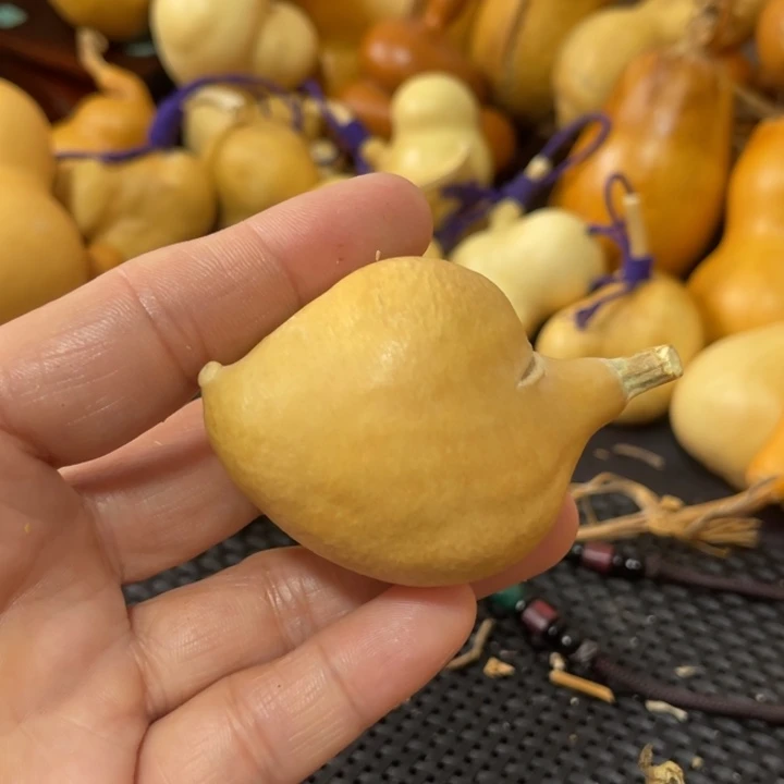 ༺***༻葫芦哈哈哈哈哈哈哈哈哈哈