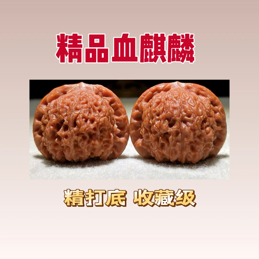 41尺血麒麟文玩核桃高端精品手把件适合盘玩收藏