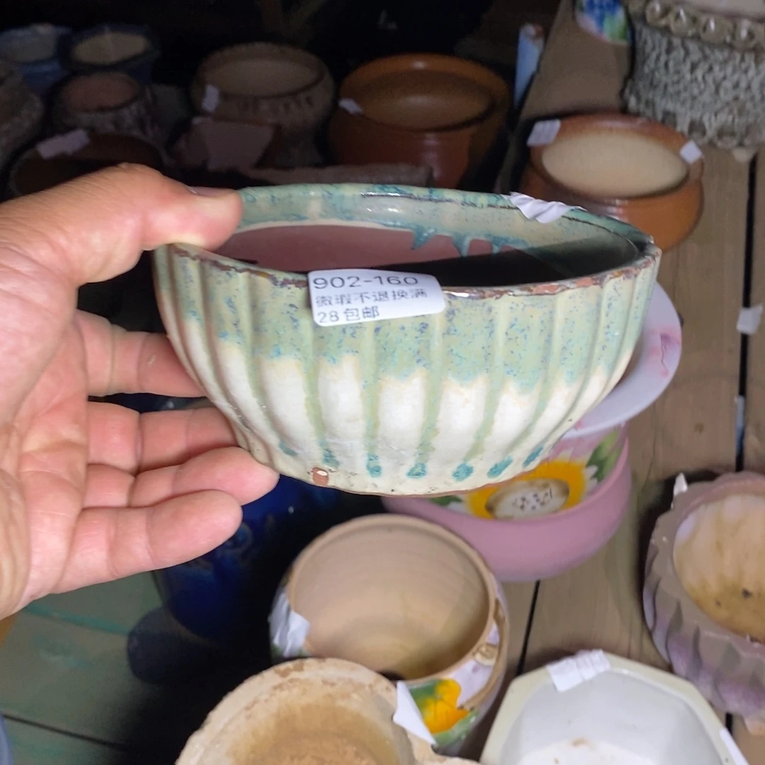 160号花盆内13高7