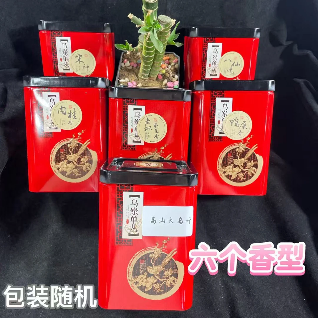 【六款单丛老树茶】凤凰单丛鸭屎香蜜兰香宋种肉桂乌叶红茶单丛茶