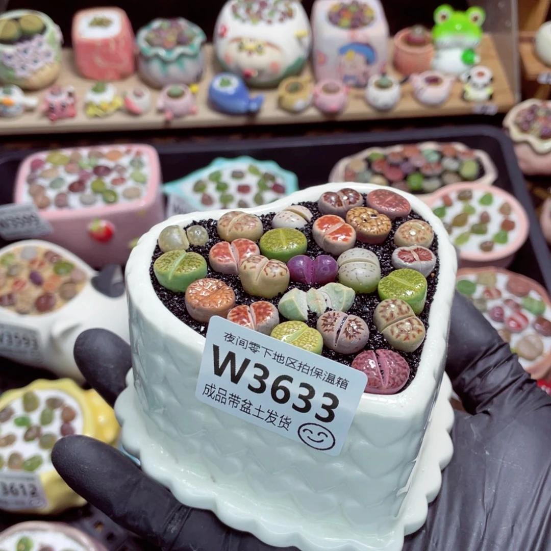 夜间零下地区拍保温箱w3633