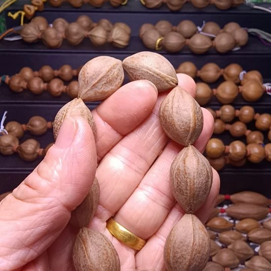 手串/手链橄榄核橄榄核手串三花铁核老料福利1.8