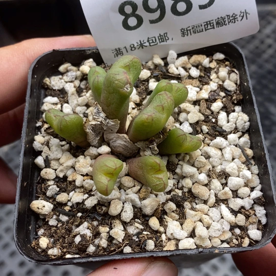 8989。