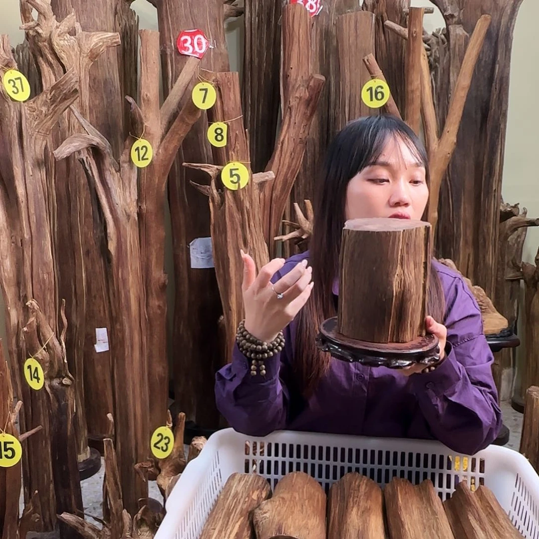 沉香沉香碎屑天然沉香原材料香料熏料